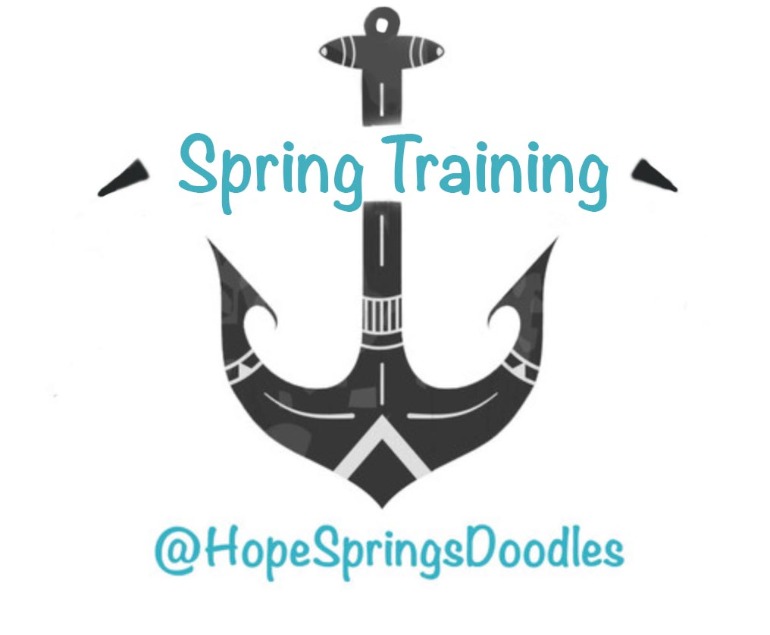 Hope Springs Doodles Puppy Training
