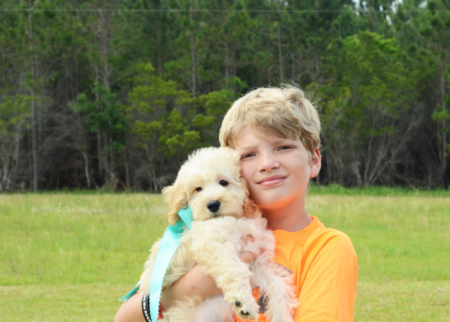 Little boy holding his golden doodle puppy